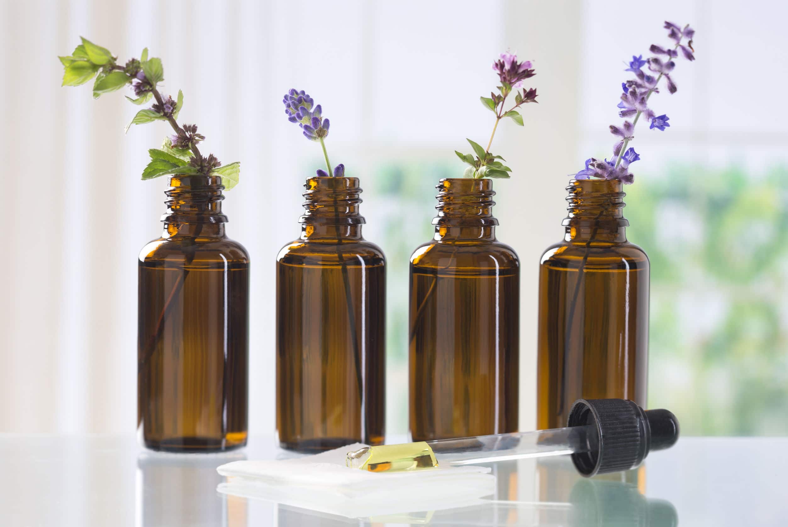 aromatic herbs for essential oil