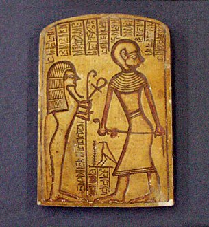 credits: the australian museum