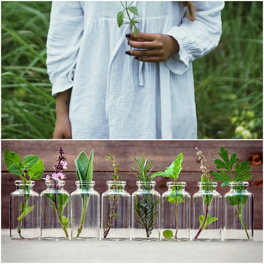 aromatherapy collage